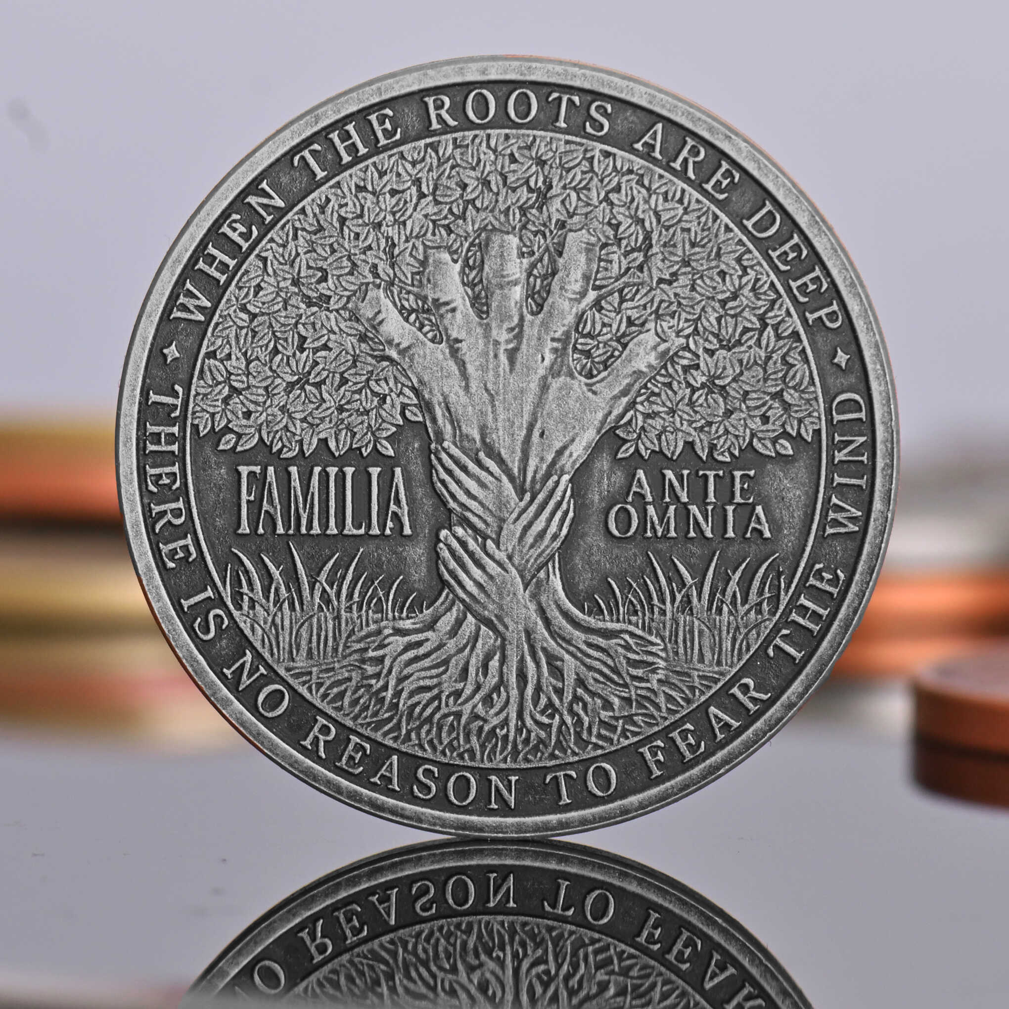 Family Program Coin Family Coin | Familia Ante Omnia Keepsake Gift – EDC Reminder Coins
