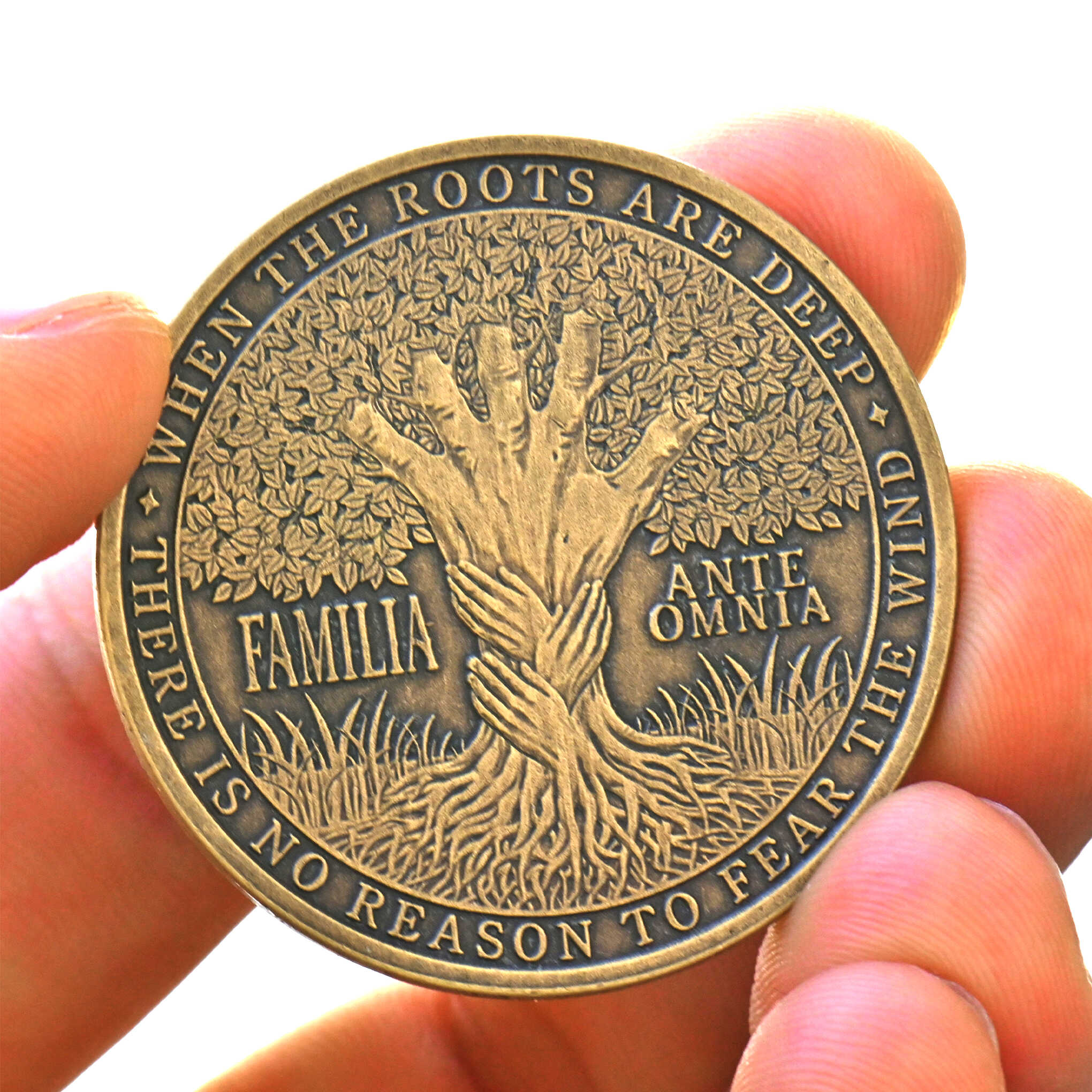 Family Program Coin Family Coin | Familia Ante Omnia Keepsake Gift – EDC Reminder Coins