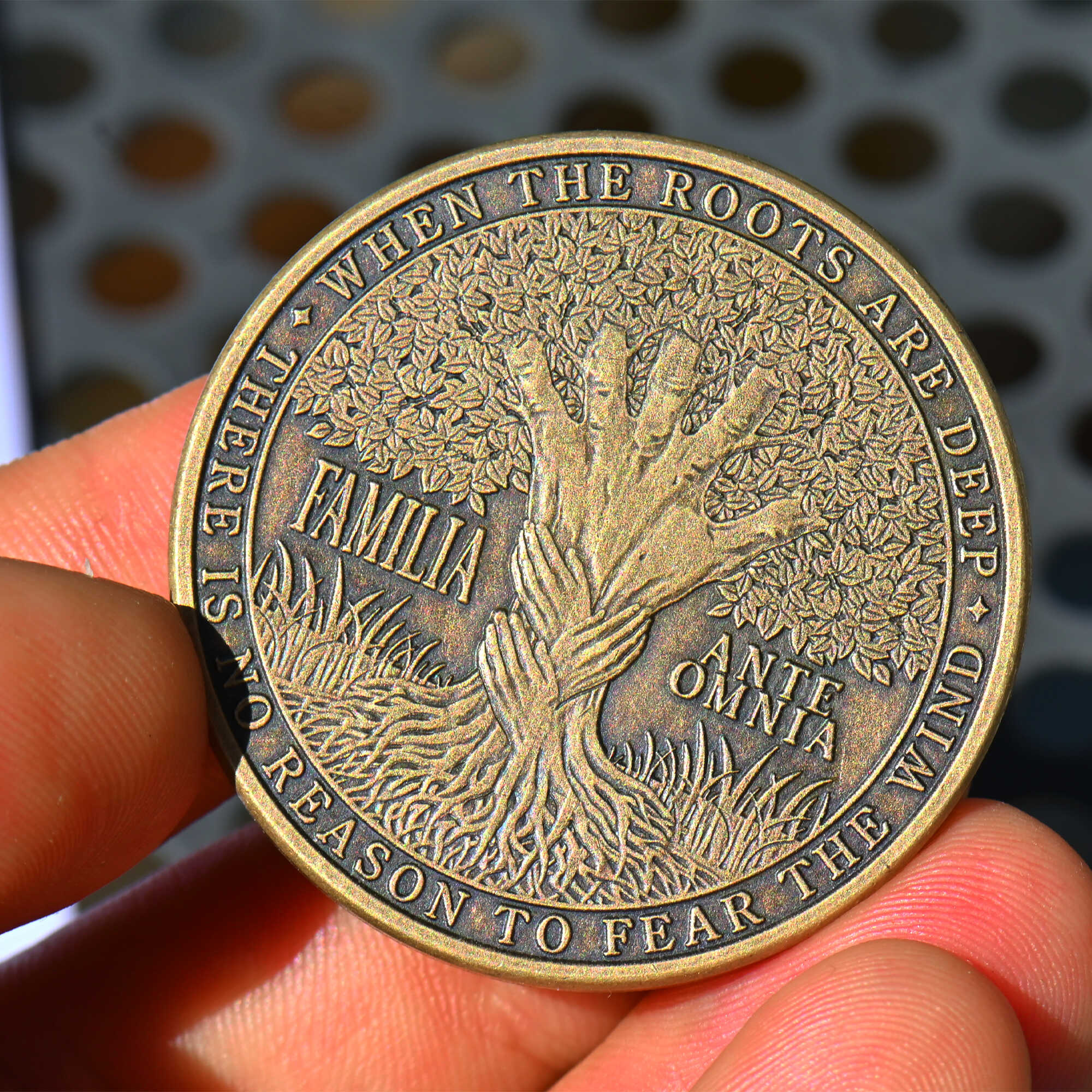 Family Program Coin Family Coin | Familia Ante Omnia Keepsake Gift – EDC Reminder Coins
