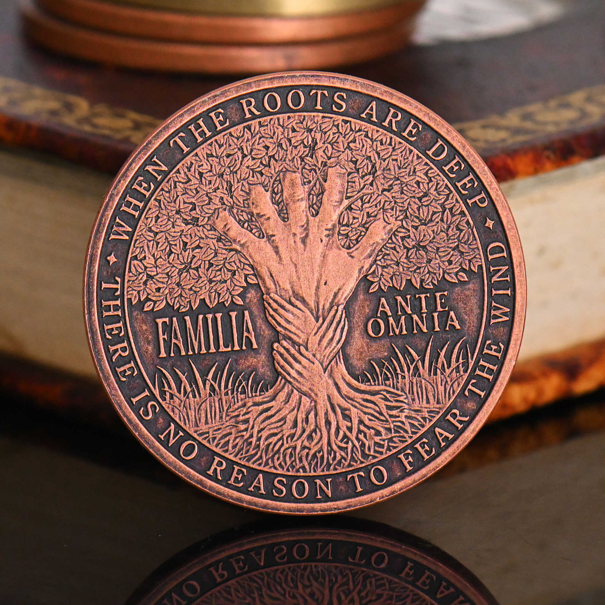 Family Program Coin Family Coin – EDC Reminder Coins