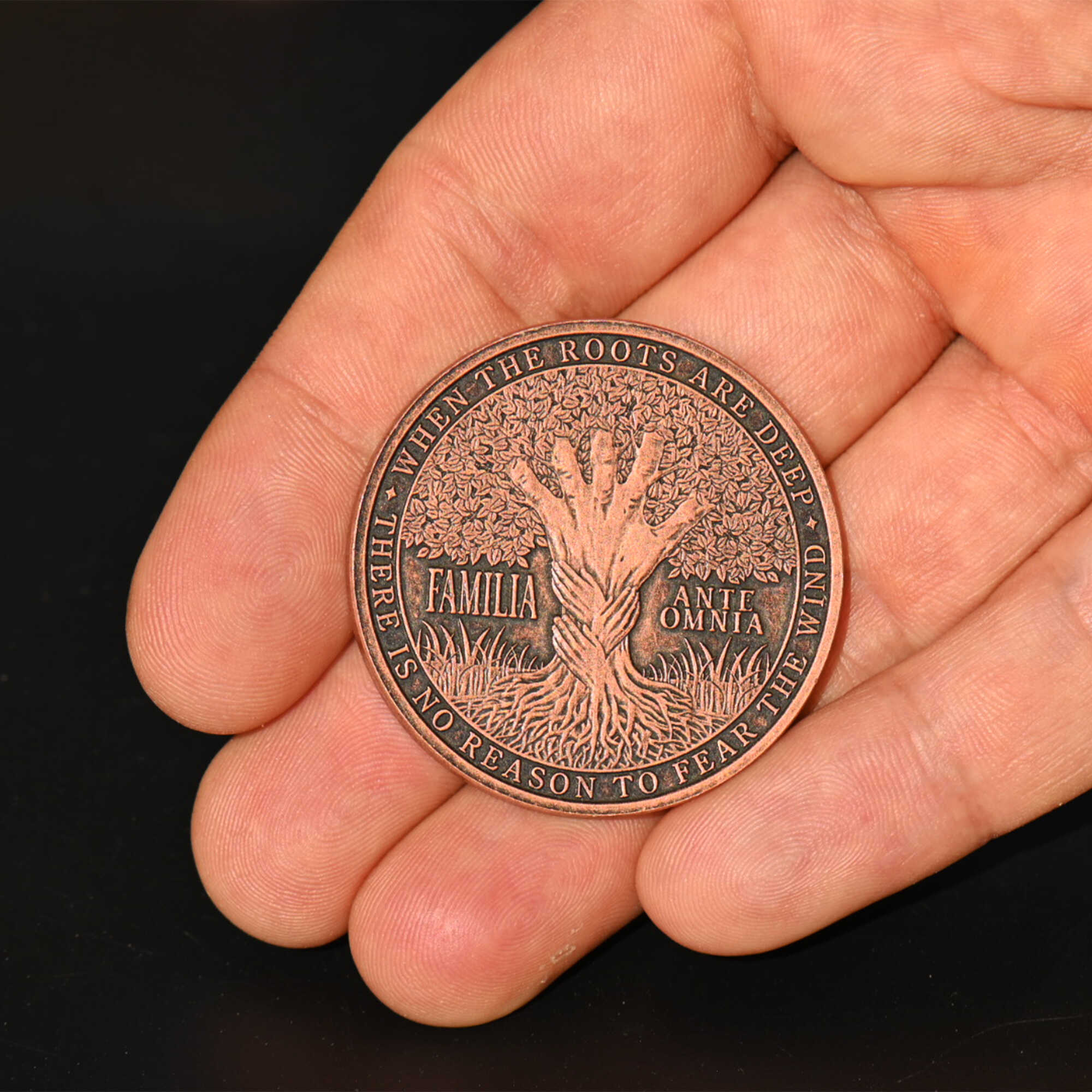 Family Program Coin Family Coin | Familia Ante Omnia Keepsake Gift – EDC Reminder Coins