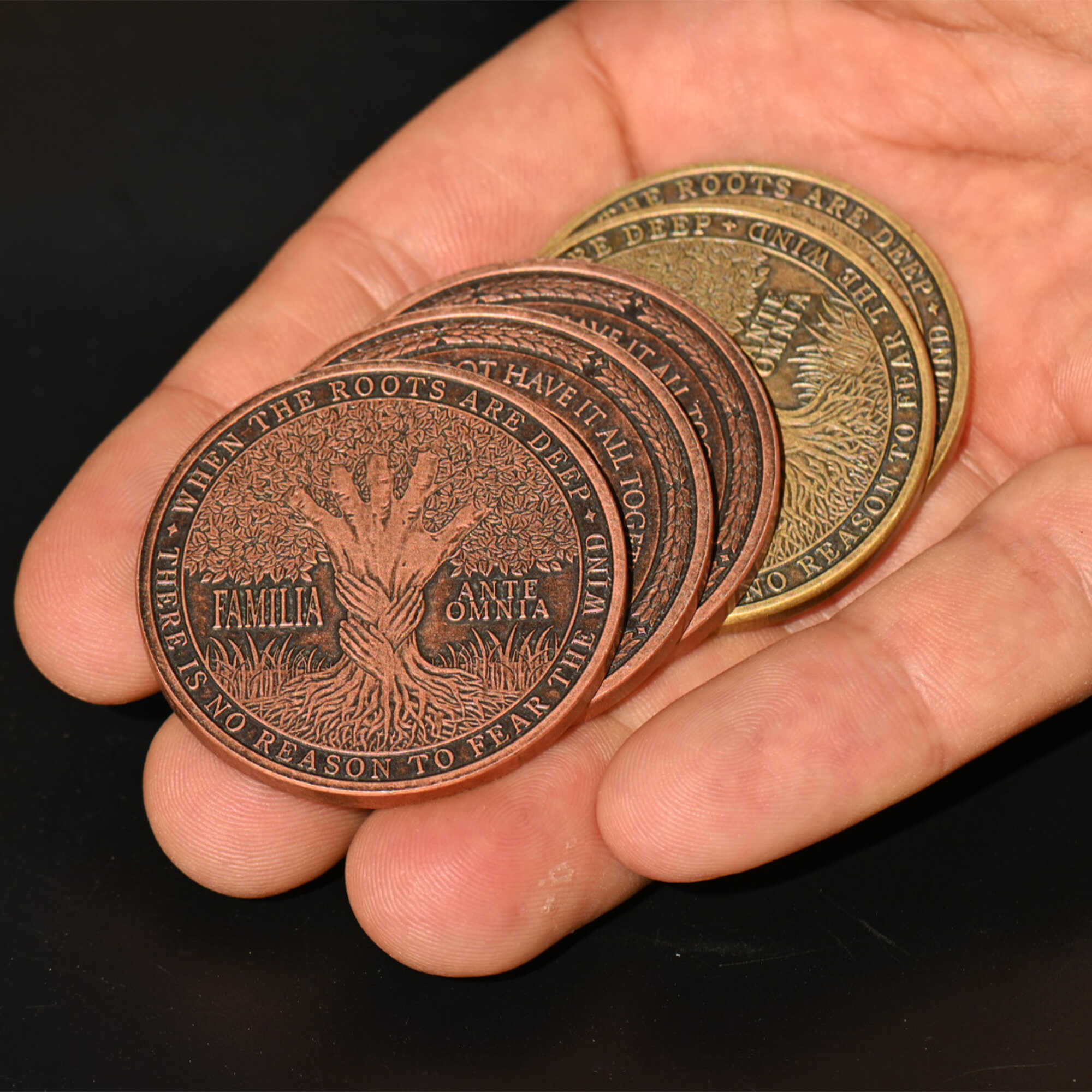 Family Program Coin Family Coin | Familia Ante Omnia Keepsake Gift – EDC Reminder Coins