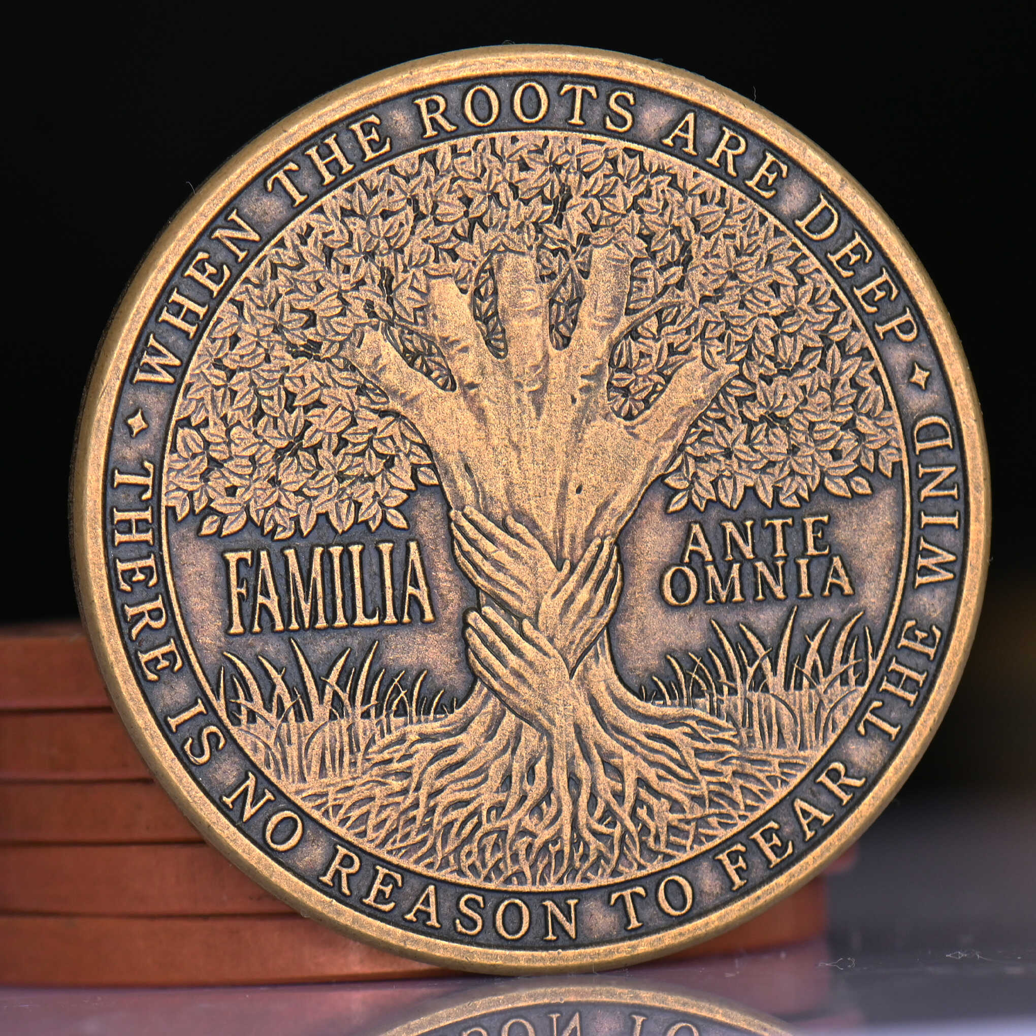 Family Program Coin Family Coin | Familia Ante Omnia Keepsake Gift – EDC Reminder Coins