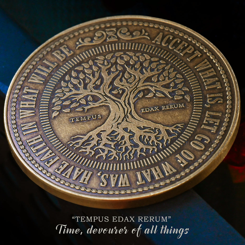 This Too Shall Pass Coin